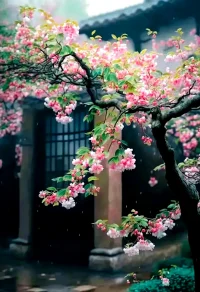 理解是雙向的，父母要理解孩子，孩子也要理解父母，而理解的橋梁便是溝通配圖