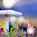 丿亚辉丨semx丶7的头像