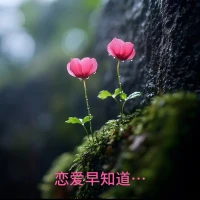 戀愛(ài)早知道…