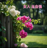 女人，自己才是自己的避風(fēng)港