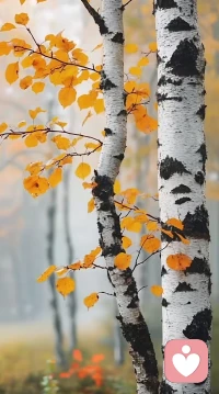 生活中，为何你明明没有得罪这个人，却感觉到他对你充满敌意，其实这世间有一种恶意，不是因为你做错了什么，而是因为你做对了什么……