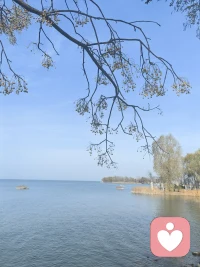 嫉妒就是血液中的毒瘤，它不会伤害别人，只会侵蚀自己…