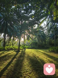 有一句话: 别人如何对你，都是你教的…
解读一下就是: 你的行为模式语言模式甚至思维模式造就了对方相应的反馈…
譬如:你的隐忍 讨好 等等  也或者是你的尖酸刻薄等等也或者你的淡定从容不卑不亢等等都会得到相应的反馈……这里有好的也有赖的……
但这句话有一种普遍的暗喻是指受害者模式，有很深的心理意义……
受害者某种意义上也是施害者或者操控者，这里有很深的心理原因，就不在这里赘述了。（这是另外话题）