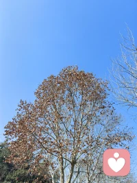 抬头看着天空吧！
它这么澄澈，会净化世间所有的不堪与丑陋……