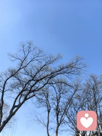 抬头看着天空吧！
它这么澄澈，会净化世间所有的不堪与丑陋……