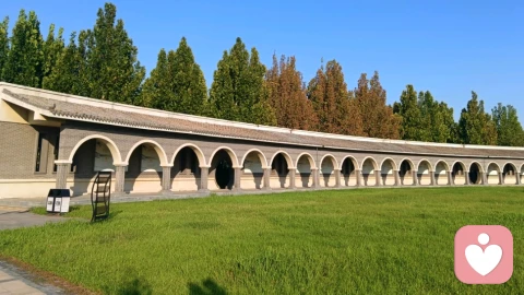 如何走出习得性无助？