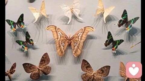 如何区分“好孩子”和“真正的自己”？