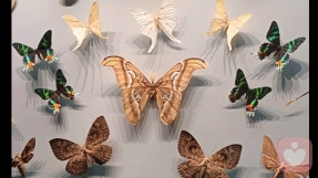 如何区分“好孩子”和“真正的自己”？