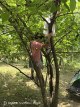 孩子成长过程中的主体性发展阶段：从依附到独立的生命探索