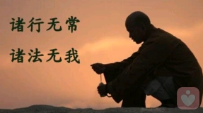 打地鼠式咨询VS长程咨询：整合取向咨询师的“不执着”