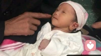 刚出生的婴儿能“听”懂什么？——基于多尔多儿童精神分析理论