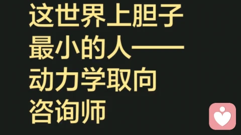 世界上胆子最小的人——动力学取向咨询师