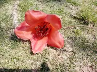 愛因斯坦曾說過一句話，如果給我一小時解答一道決定我生死的問題，我會花55分鐘來弄清楚這道題到底是在問什么，一旦清楚了他到底是在問什么，剩下的五分鐘夠回答這個問題。這句話很好的說明了心理咨詢的一個過程，其實我們需要理解自己，特別是理解自己的潛意識，了解自己的心理地圖。這是最主要的，也就是說心理咨詢的重要一環是理解自己是什么。配圖