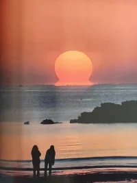 我們需要尊重離別，分離是我們必修課，生命從與母體的分離中誕生，分離才是一段關系的開始。當我們面臨分離，很多過去沒有的情感會涌現，隨之而來的是對自己全新的認識。遇見只是一個開始，離開確實為遇見的下一個開始。配圖