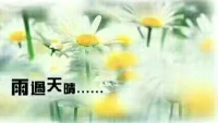 【绿洲心理】——想要更好的爱自己，从接纳自己的情绪开始，当情绪出现的时候，允许其自然的流动，及时表达、及时倾诉、不压抑就是对自己最大的照顾。学会悦纳自己的情绪，让心安定下来，一辈子安顿好自己的心就是最大的圆满。大家周末愉快！配图