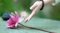 很喜欢杨绛先生的一段话:“你的年龄应该成为你生命的勋章，而不是伤感的理由。人生一站有一站的风景，一岁有一岁的味道。无论别人如何待你，都要好好珍视自己，对得起自己内心的那一抹骄傲，在自己的世界里独善其身，在别人的世界里顺其自然。”配图