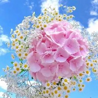 在家庭关系中妈妈的情绪，就是一个家庭气氛的风向标，它决定了一个家庭的温度和幸福度。
妈妈的好情绪是一个家庭的幸福来源，只有妈妈先做一个幸福快乐的人，孩子才会幸福快乐。
今天是母亲节，愿所有做母亲的朋友们节日快乐！爱与温暖常相伴！配图
