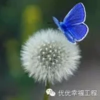 美國著名心理學家、心理治療教練克里斯蒂娜·哈雷特博士，在暢銷書《悅己的力量》中總結了一句話：成為自己的向導，按照自己的心意去生活。配圖