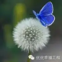 蠶在結(jié)繭一兩周后便會開始嘗試破繭而出。有的蠶，會奮力掙脫繭的束縛，熬過苦難，破繭成蝶。而有的蠶，幾次沒能沖破蠶繭，便認(rèn)命服輸，最后窒息而亡。
?人生何嘗不是如此，各有各的難，各有各的苦。有些人在千錘百打中，灰心喪氣、不斷沉淪；有些人卻無憂無懼、踏平坎坷、勇往直前。
只有抱著破繭心態(tài)，經(jīng)住考驗，熬過苦難，微笑向前，生命才會升華，美好也會如期而至。
大家早上好！配圖
