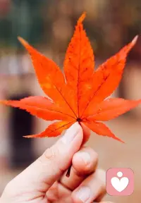 曾經看過這樣一句話:“如果總是覺得生活中有無數雙眼睛盯著自己，請記住，人生最重要的，是用自己的眼睛看自己。”
人生的舞臺上，我們既是主角，也是觀眾。自始至終，只需要對自己的鏡頭負責就好。
真正需要取悅的不是別人，而是自己。
大家早上好！
?配圖