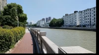 情緒的結構