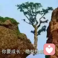 關于咨詢我想說，好的咨詢是讓來訪者感受不到是在咨詢，在不知不覺中，來訪者已經發生了改變，解決了問題，成長了自我，提升了能力，開啟了智慧，活出了幸福愉悅優秀的自我。除特殊情況，咨詢真的不需要去和來訪者說那些心理術語，晦澀難懂的心理學名詞，這些并不能提升咨詢師的專業度，可能還會影響來訪者對心理咨詢及自身問題的理解。咨詢師要先修身再咨詢。要提升自己的專業度：需要修行自我，提升自己的心理素養，理論素養，咨詢技能，遵守咨詢倫理及法律法規。個人拙見哈，歡迎批評指正，探討交流。配圖