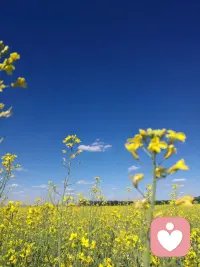 謙恭圓融，內斂和善。配圖
