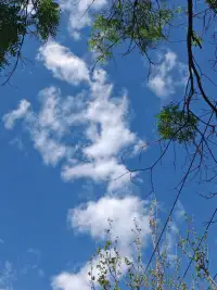 【心灵之港】30几年对心理的研悟，得出要做好咨询，成为好的咨询师，首先是修身，自我成长完善，不是去学什么咨询技术，尤其不要执着于咨询技术，当你自己修好了，自身就会散发出一种气场，让你的来访者坐在你身旁，就会被滋养被疗愈，至于用什么方法技术，你当下就会升起，信守捏来，自然而然的，甚至是来访者都感受不到在咨询，烦恼、痛苦、困扰就减轻了，消失了。