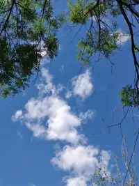 【心灵之港】今天是母亲节，祝天下所有母亲节日快乐！天天都是母亲节！