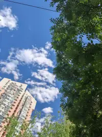 【心灵之港】今天是母亲节，祝天下所有母亲节日快乐！天天都是母亲节！