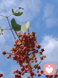 ?家是什么
家是風(fēng)雨中的一座小屋
家是雪天里的一把酒壺
家是出門時的一聲聲叮囑
家是飛機(jī)不能如期降落不安的腳步
家是一部手機(jī)
家承載著你的全部配圖