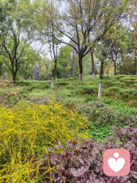 树林的这边
我静静的——
赏花阅草
慢慢的
悠闲的——
散步呼吸
这大自然赋予我的一切
好滋养好惬意

树林的那边
是繁华的都市
是车水马龙
是不尽的喧哗

猛然间
我发现——
喧哗和清静只隔着一片树林
看我怎么选择