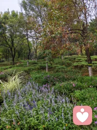 树林的这边
我静静的——
赏花阅草
慢慢的
悠闲的——
散步呼吸
这大自然赋予我的一切
好滋养好惬意

树林的那边
是繁华的都市
是车水马龙
是不尽的喧哗

猛然间
我发现——
喧哗和清静只隔着一片树林
看我怎么选择