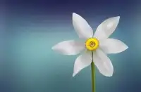 社交恐懼的本質：社交恐懼真正恐懼的，既不是人多，也不是陌生，而是別人對自己的看法。為什么這么在意別人的看法呢？當你不知道你是誰的時候，低價值感的時候，就會通過別人的評價來認識你自己。你就會變得小心翼翼，唯恐遭人指責，過分苛求認可！配圖