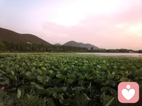懷疑或許會讓我們錯失眼前的幸福