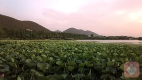 怀疑或许会让我们错失眼前的幸福