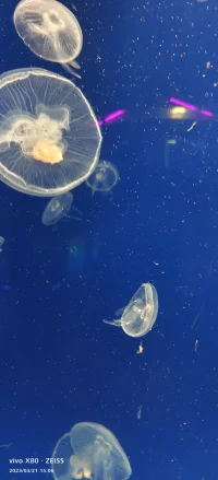 如果生命把我們逼到了懸崖邊，讓我們無力再往前走一步，那就停下來休息一下，我相信遲早有一天，你會找到一條新的路，因為上帝給你的磨練永遠不會超過你的能力，你要相信這一切黑暗，將來都是光照進來的地方。如果你相信，它就會發生。改變總是有可能發生的，即使外在改變有限，內在也有可能改變。配圖