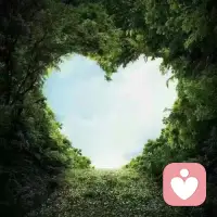 怎樣改變痛苦的現狀？

在痛苦的漩渦里反復掙扎，是最讓人無奈的。我們想要被救贖，而真正能解救我們的，只有我們自己。

然而，慣性的思維與認知，讓我們無意識地沉浸在了，自己愿意看到的幻境里。從而，屏蔽了真正能帶我們走出困境的那條路！

破繭成蝶，需要經歷一番痛，自我的重建也一樣！配圖