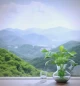 是什么打破了我们内心的平和与宁静？