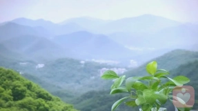 是什么打破了我们内心的平和与宁静？