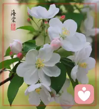 打卡第3天，步行20分鐘2公里。
你自己平靜穩定的情緒，也會給你身邊的他人以安撫情緒的作用，如果你是妻子，母親或者咨詢師，你需要修煉這樣的能力，為你自己也為你愛的人。配圖