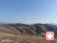 打卡第5天，爬野山3小時。
春生夏長，秋收冬藏。我們的人生也是如此，處于春天的你，好好去努力，別辜負了你的美好時光；處于夏季的你，好好去奮斗，別辜負成長的大好時機；處于秋季的你，那就好好去享受你收獲的豐碩果實；冬季的你，更不要消極和懈怠，好好儲備你的能量，厚積薄發，下一個春天就是你最燦爛的季節??！配圖