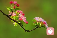 運動打卡第7天，步行20分鐘，2公里！
生活是對一個人意志的磨練，“磨”是一個漫長的過程，但它相對于整個人生來說還只是其中的一小部分；“練”是需要反思學習并堅持下去的過程，如果你堅持下去了，生活給你的饋贈一定也是豐盛的，你坦誠認真對待自己，生活也會如此待你！配圖