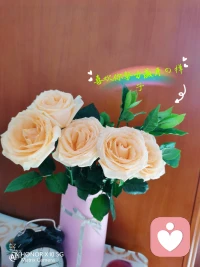 送給通過(guò)努力讓自己變得越來(lái)越好的你！配圖