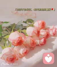 真正束缚你的不是别人，而是自己的思维。配图