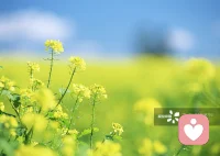 沒有目標的人生，你即使在努力，感動的也不過是你自己！配圖