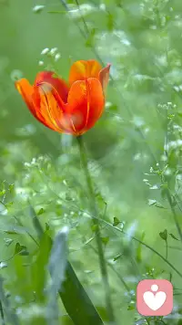 別人對你的要求，很可能成為你的壓力，自己對自己的要求卻有可能成為你努力的目標和動力，沒有自我要求的生活很難有自我價值感。配圖