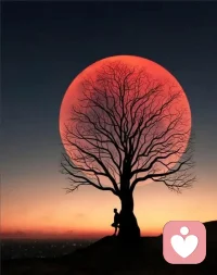 世间美好，
​多拼接而成。
​如这图中美景：
​晨曦微明伴朝阳初升，
孑然独立共​枯树相映。
​似这复杂人生：
​酸甜苦辣换佳期如梦，
​风雨同舟方水到渠成。配图