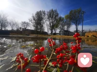 Themomentyouacceptwhat
troublesyouvebeengiven,
thedoorwillopen.

当你真正接受
那些被给予的困难时，
那扇门将会打开。
—鲁米配图