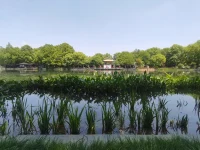 分手后，你?刪會?除另一半微信不。我?你跟?講，從實戰(zhàn)?驗經(jīng)?來看，男?兩女?性心理?不大?同。女人?多大?會刪，因為?分在?手這件事?女上?人會覺?更得?傷心痛苦、更?心死?心碎，更決絕。男?大人?多不刪，因?心為?底還?少多?算自?的己?女人，未?如來?果她有困?需難?要幫助，還?愿會?意幫一把。配圖